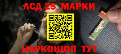 шишки Новодвинск