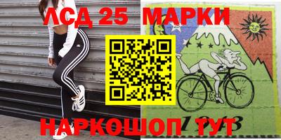 шишки Новодвинск