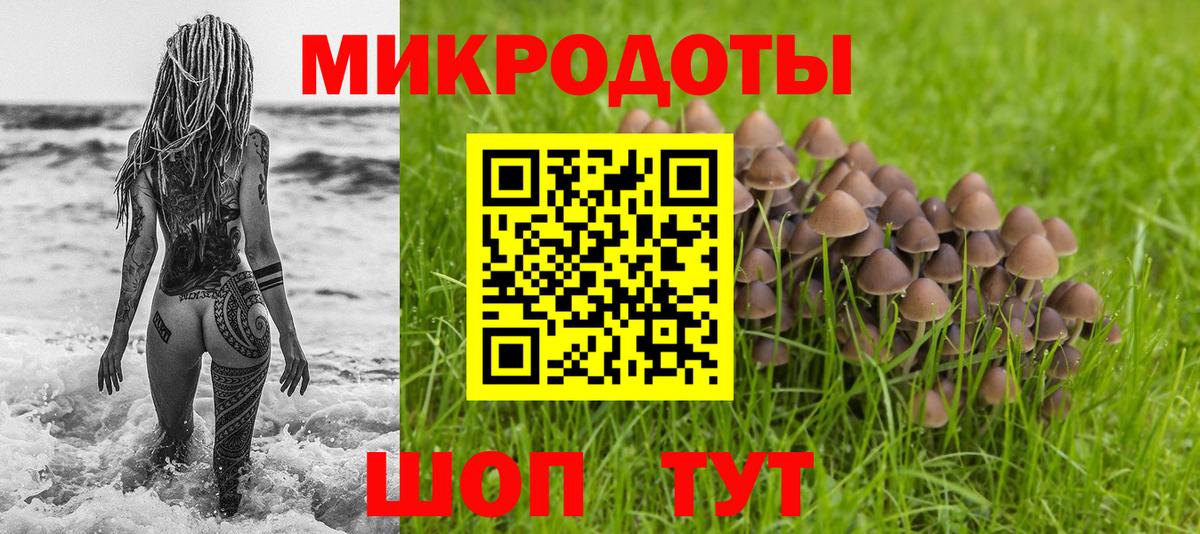 Галлюциногенные грибы GOLDEN TEACHER  Вход с VPN  как найти наркотики  Татарск 