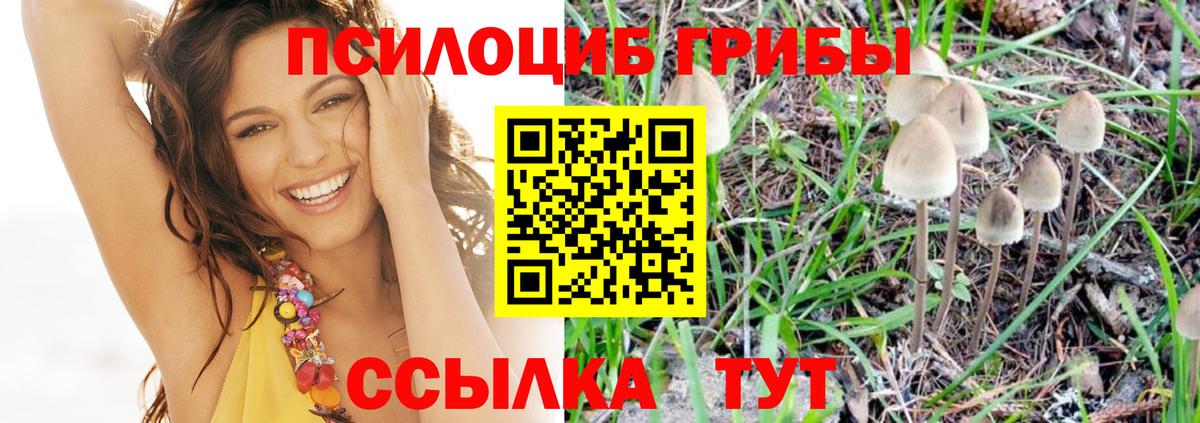 Псилоцибиновые грибы ЛСД Татарск